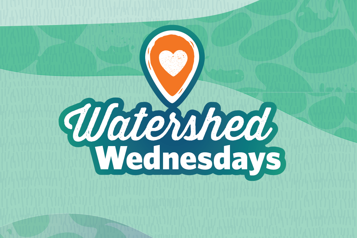 Shop local and save - every third Wednesday of the month