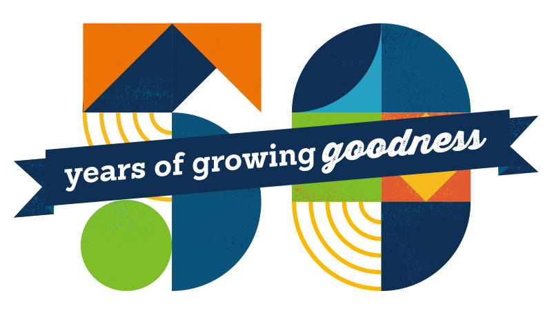 50th Anniversary Emblem in Geometric Shapes and Bright Colors