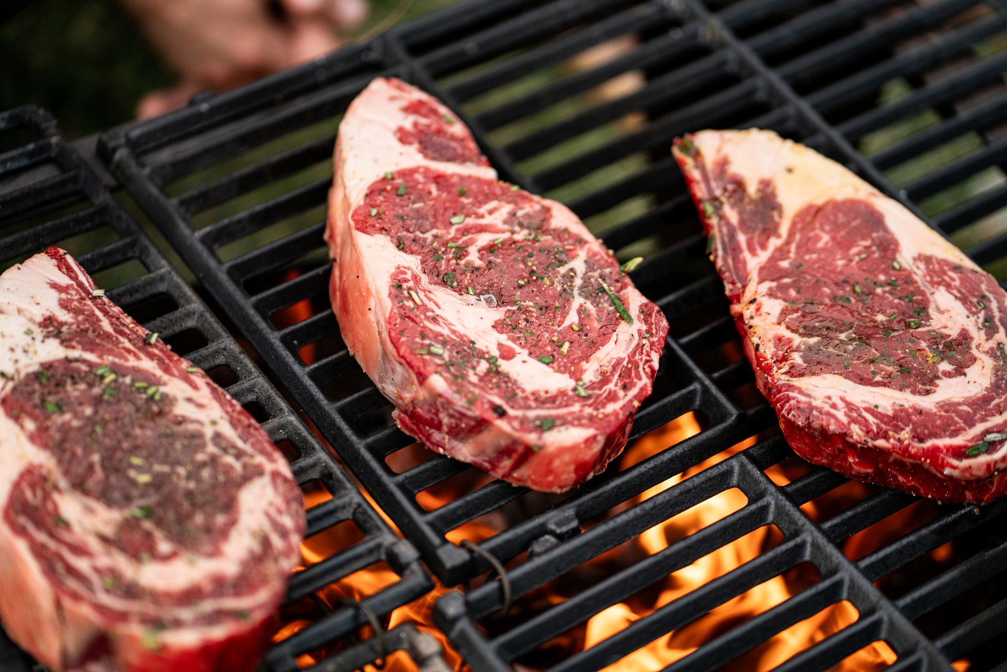 Grilled Ribeye