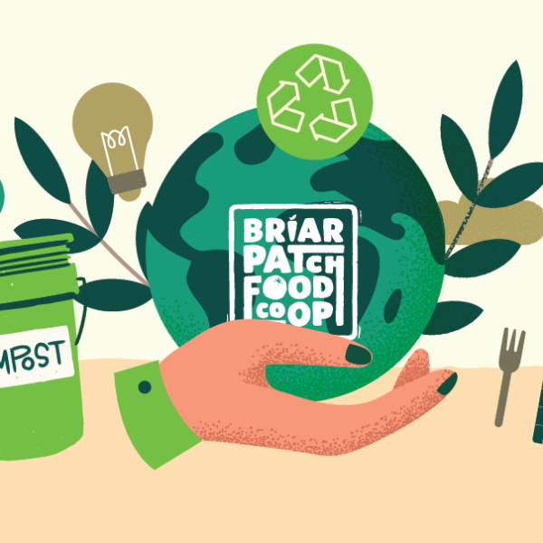 illustration of hand holding a green planet with sustainability symbols